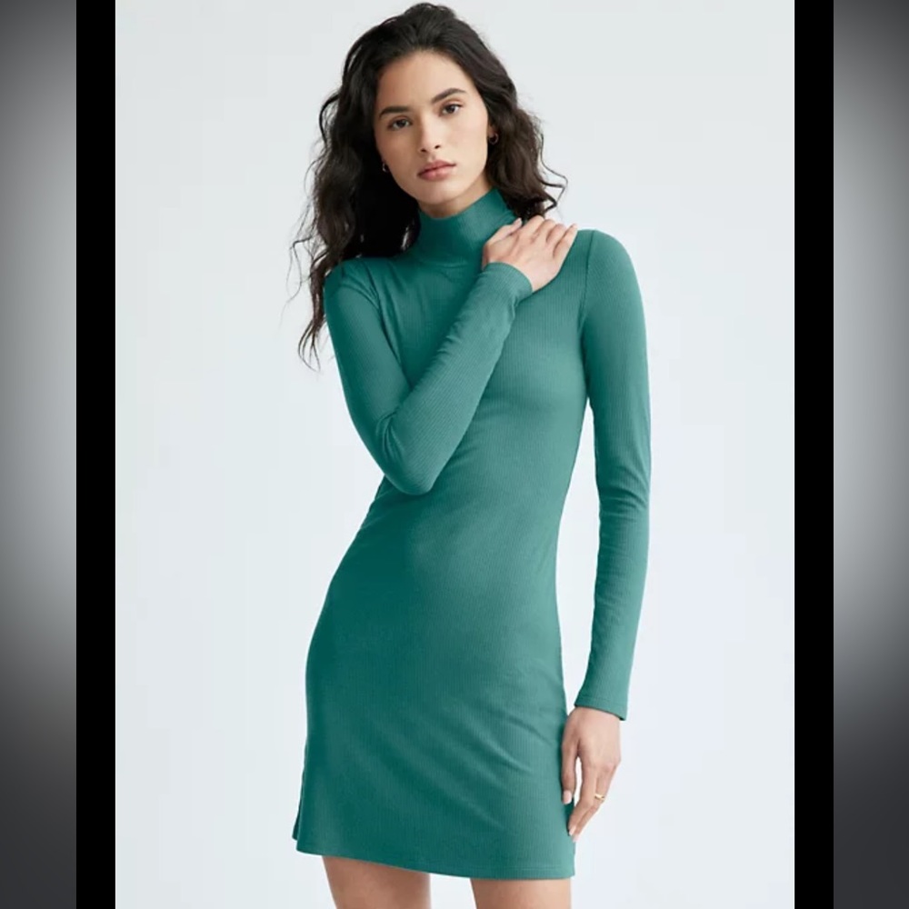 NWOT Wilfred Janice Dress